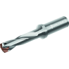 Walter D4140.03-15.00A15-B Broca con plaquitas intercambiables