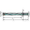 Walter D4140.07-20.00F19-E Broca con plaquitas intercambiables