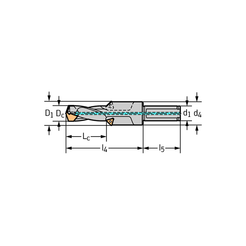 Walter D4240-02-14.00F20-B Broca con plaquitas intercambiables D4240-02