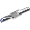 Walter D4240-02-21.00F20-E Broca con plaquitas intercambiables D4240-02