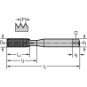 Walter D70617-M10 Laminadores a máquina HSS-E