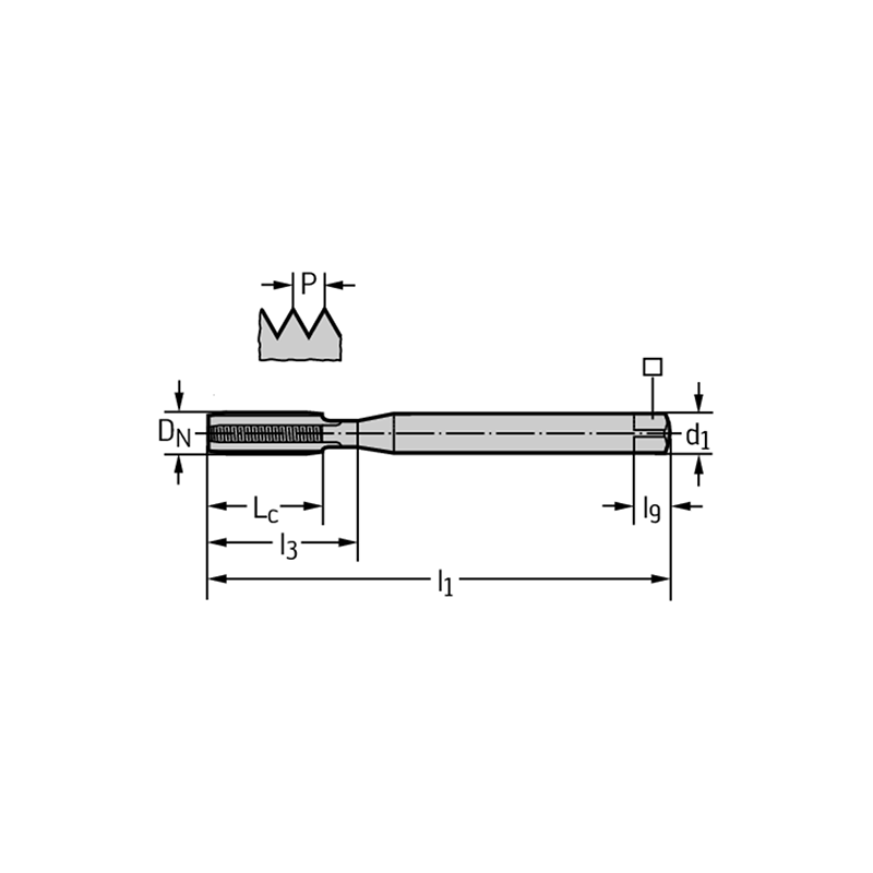 Walter E2031436-M4 Machos de roscar a máquina HSS-E-PM