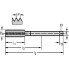 Walter E2036406-M12 Machos de roscar a máquina HSS-E-PM