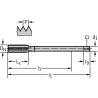 Walter E2036436-M12 Machos de roscar a máquina HSS-E-PM