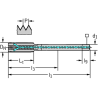 Walter E2036446-M16 Machos de roscar a máquina HSS-E-PM