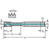 Walter EP2251312-UNC1/4 Machos de roscar a máquina HSS-E-PM