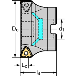Walter EP2456302-G5/8 Machos de roscar a máquina HSS-E-PM