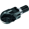 Walter F2239.T18.020.Z01.15 Fresas de copiar