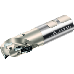 Walter F4138.UW31.031.Z02.43 Fresas tipo erizo