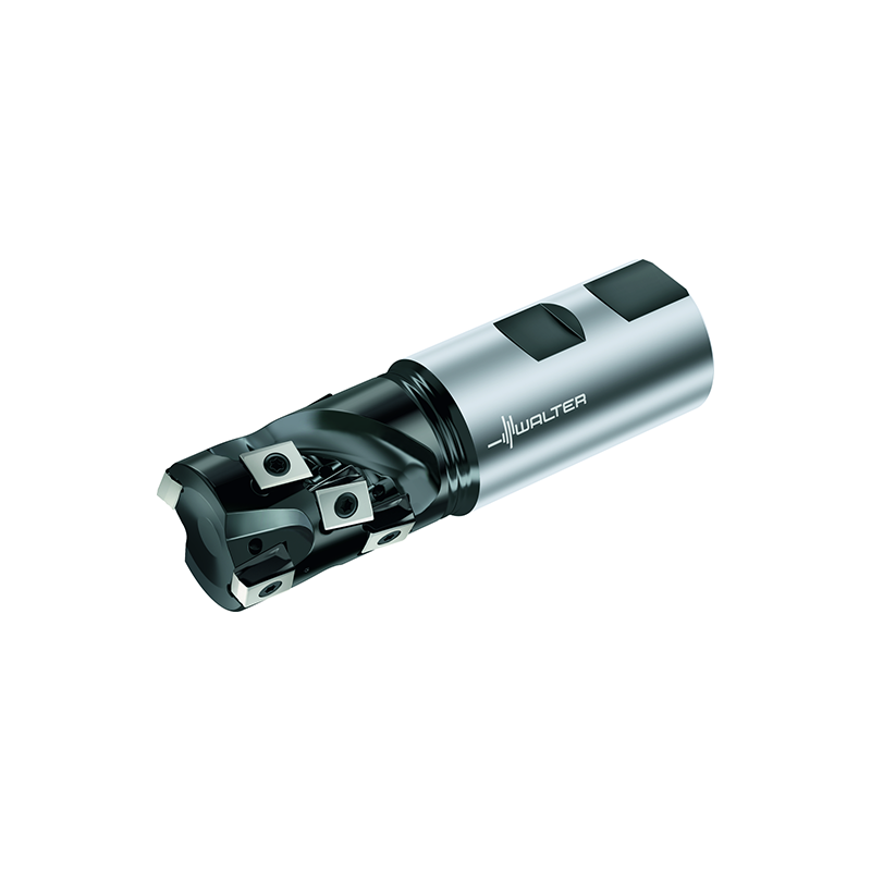Walter F5038.W25.025.Z02.32 Fresas tipo erizo