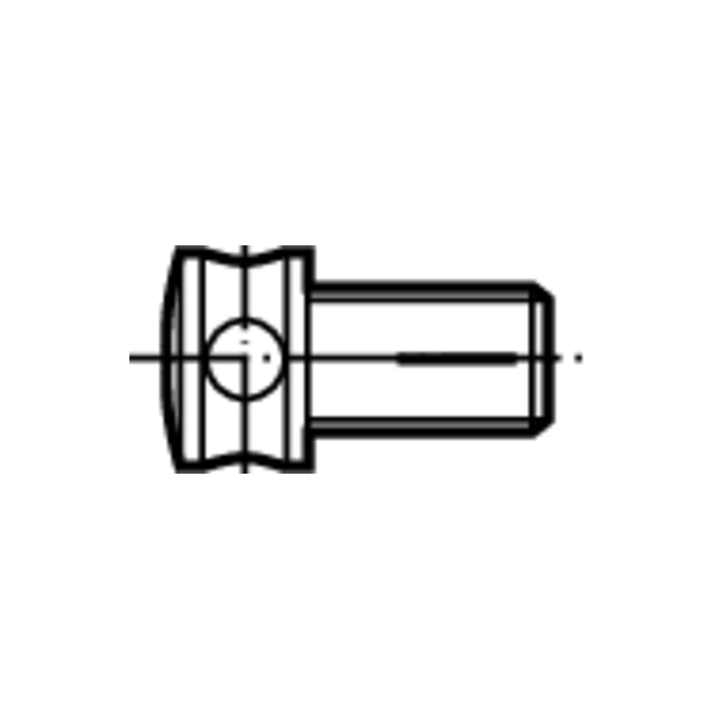 Walter FS1023 Tornillos con cabeza