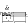 Walter H5033008-M10 Fresas de roscar MDI