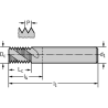 Walter H5336006-UNJF1/4 Fresas de roscar MDI