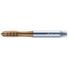 Walter M2021305-M2.5 Machos de roscar a máquina HSS-E