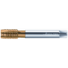 Walter M2026305-M14 Machos de roscar a máquina HSS-E