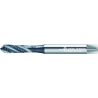 Walter M2051306-M2 Machos de roscar a máquina HSS-E