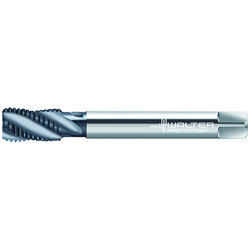 Walter M2056306-M6 Machos de roscar a máquina HSS-E