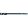 Walter M2056332-M16 Machos de roscar a máquina HSS-E