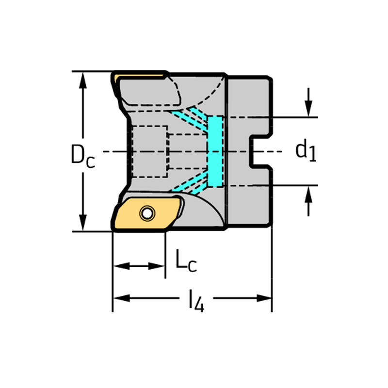 Walter M2131-063-B22-05-15 Fresas Ramping