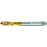 Walter M2151305-M5X0.5 Machos de roscar a máquina HSS-E