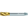 Walter M2156305-M12X1.25 Machos de roscar a máquina HSS-E