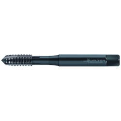 Walter M233009-EGUNF1/4 Machos de roscar a máquina HSS-E