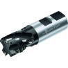 Walter M4256-025-W25-02-27 Fresas tipo erizo