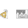 Walter NTS-IR-11 16W WMP32 Placas giratorias de rosca interior – Perfil completo, Whitworth NTS