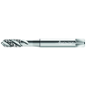 Walter P20539-M2 Machos de roscar a máquina HSS-E