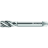 Walter P20589-M12 Machos de roscar a máquina HSS-E