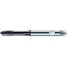 Walter S2021302-M6 Machos de roscar a máquina HSS-E