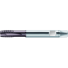 Walter S2026302-M12 Machos de roscar a máquina HSS-E