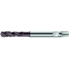 Walter S2051302-M2 Machos de roscar a máquina HSS-E