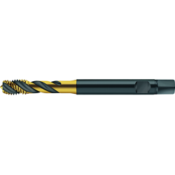 Walter S2051305-M2.5 Machos de roscar a máquina HSS-E