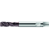 Walter S2056302-M14 Machos de roscar a máquina HSS-E