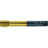 Walter S2066305-M12 Laminadores a máquina HSS-E