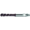Walter S2456302-G1/4 Machos de roscar a máquina HSS-E