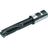 Walter T2712.20-W19-3-06 Fresas de roscar con plaquitas de corte T2712
