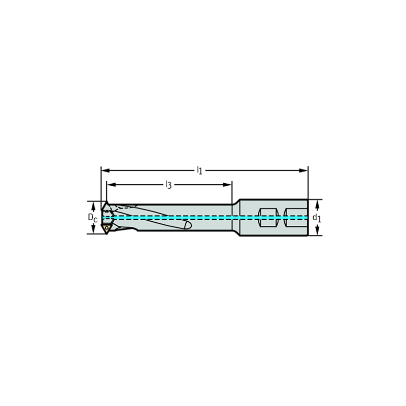 Walter T2712.20-W19-3-06 Fresas de roscar con plaquitas de corte T2712