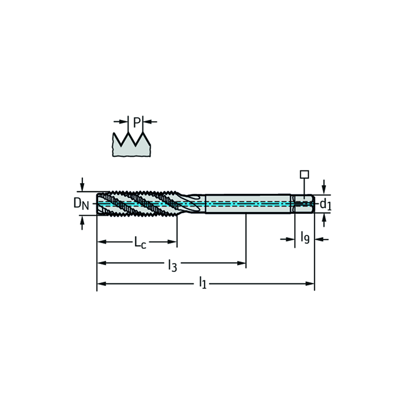 Walter TC120-M12-L1-WW60AG Machos de roscar a máquina HSS-E-PM