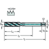 Walter TC120-M12-L1-WW60AG Machos de roscar a máquina HSS-E-PM