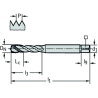 Walter TC121-M10-C0-WW60RG Machos de roscar a máquina HSS-E (-PM)