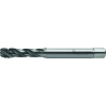 Walter TC121-M10-C1-WW60RG Machos de roscar a máquina HSS-E (-PM)