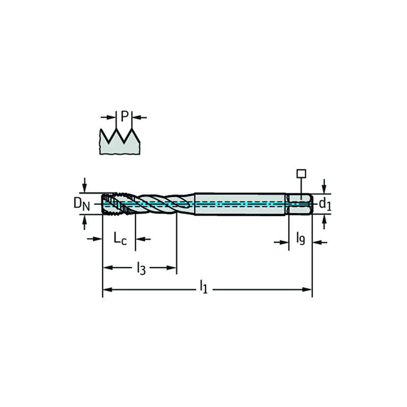 Walter TC121-M10-C1-WW60RG Machos de roscar a máquina HSS-E (-PM)