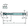 Walter TC121-M10-C1-WW60RG Machos de roscar a máquina HSS-E (-PM)