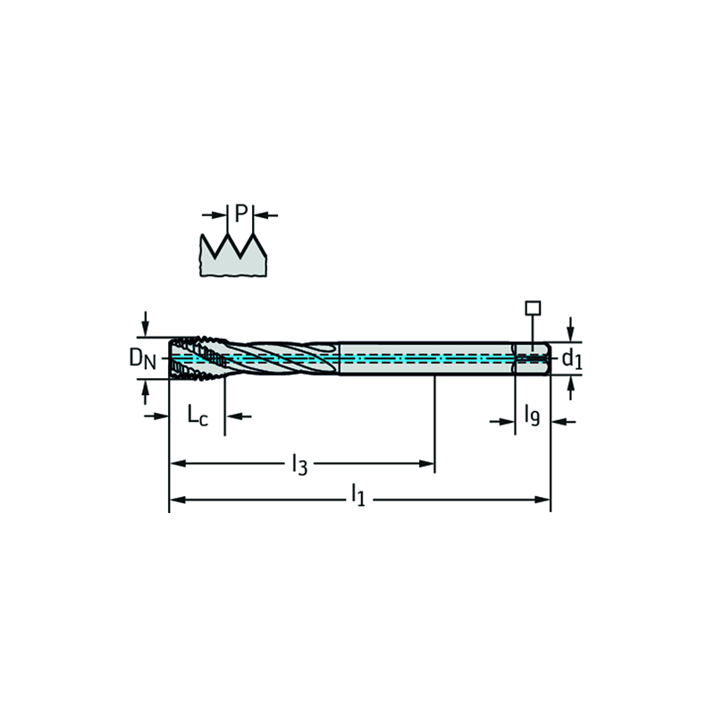 Walter TC121-M12-L1-WW60RG Machos de roscar a máquina HSS-E (-PM)