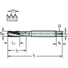 Walter TC122-M10-C0-WW60BC Machos de roscar a máquina HSS-E-PM