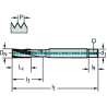 Walter TC122-M10-C1-WW60BC Machos de roscar a máquina HSS-E-PM