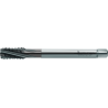 Walter TC122-M12-L0-WW60BC Machos de roscar a máquina HSS-E-PM