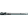 Walter TC122-M12-L1-WW60BC Machos de roscar a máquina HSS-E-PM
